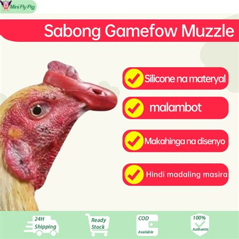 sabong chicken talk|2 week keep for gamefowl.